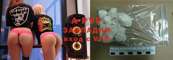 сатива Богданович