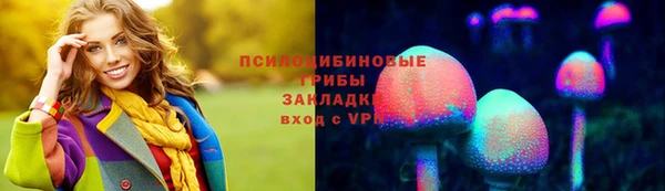 сатива Богданович