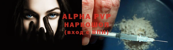 сатива Богданович